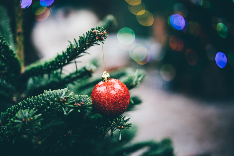 Holiday Light Displays - Explore Ohio - Cutler Real Estate